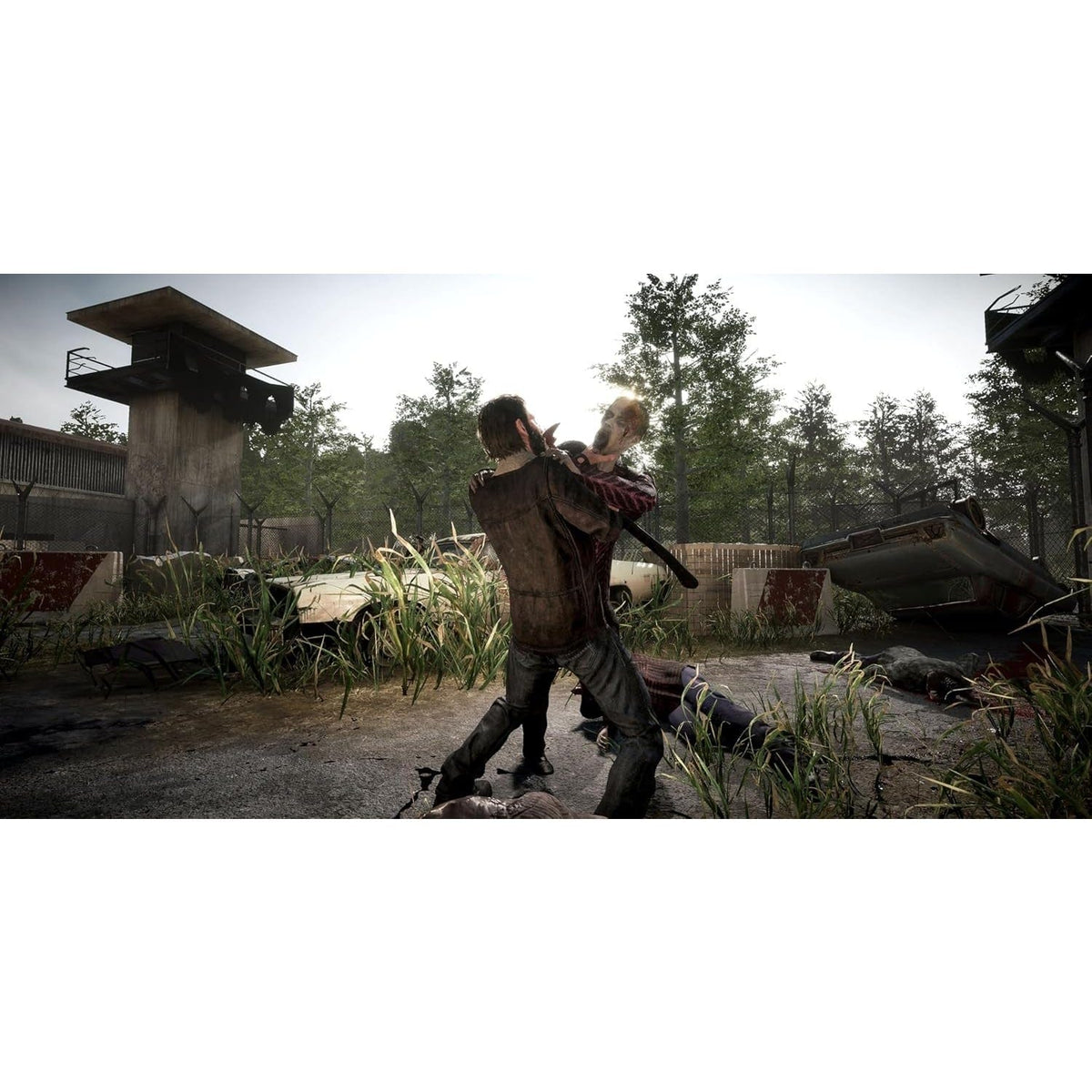 The Walking Dead Destinies - Nintendo Switch (Code in Box) 5060968302450
