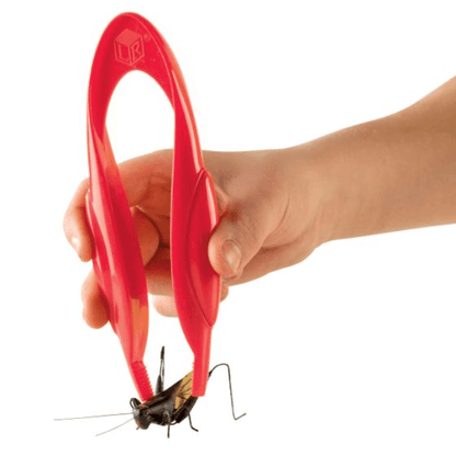 Learning Resources - Primary Science Jumbo Tweezers 765023019636