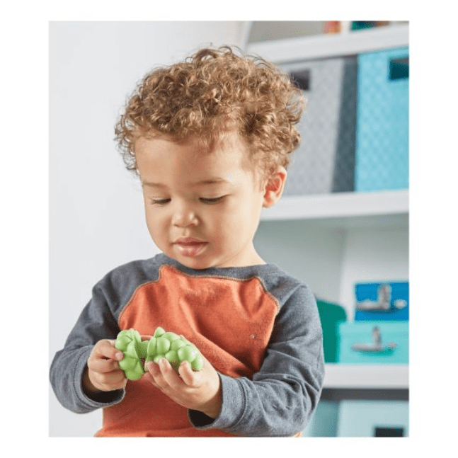 Learning Resources - Snap-N-Learn Fruit Shapers 765023067156