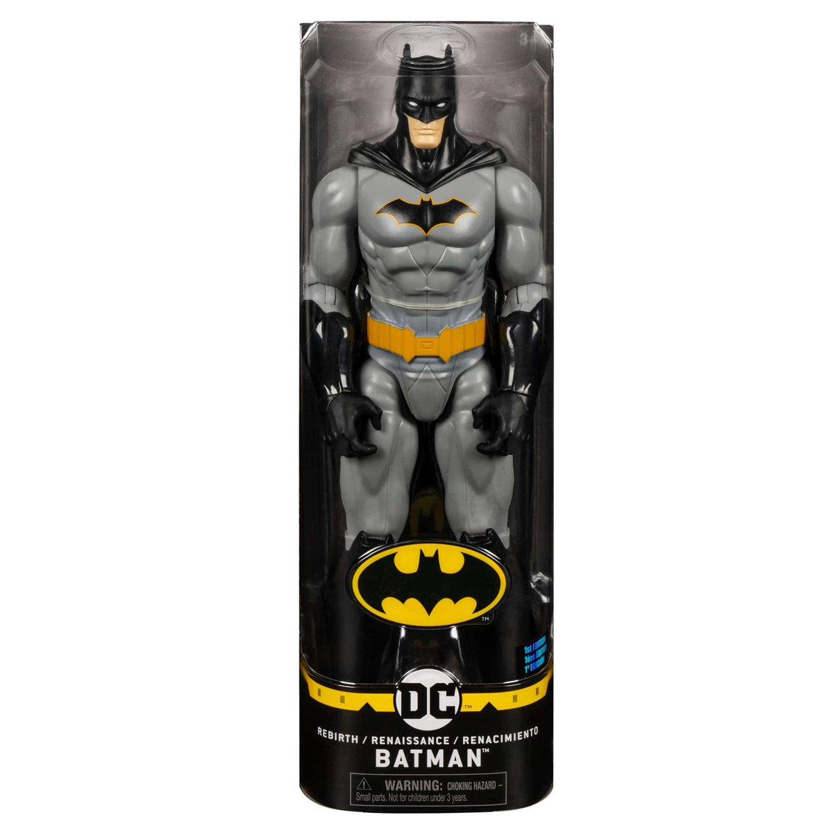 Batman 12in Figure Assortment Deluxe Collectible Set