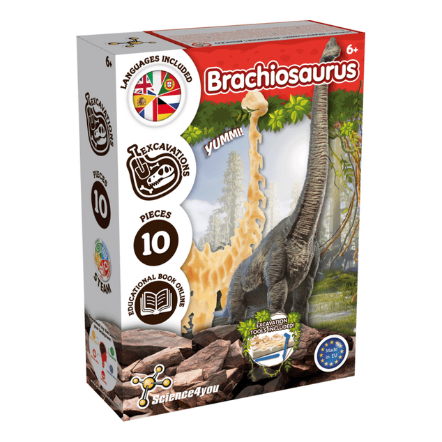 Brachiosaurus Fossil Excavation 5600983628052