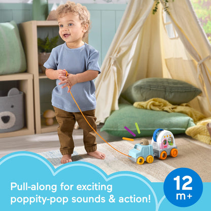 * Fisher Price Friendship Forest Pull-Along Camper