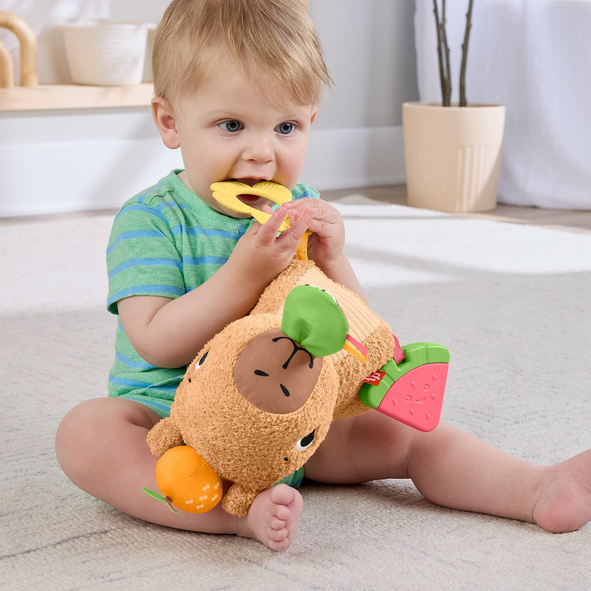 * Fisher Price Sensimals Snuggly Snacky Capy 194735254262