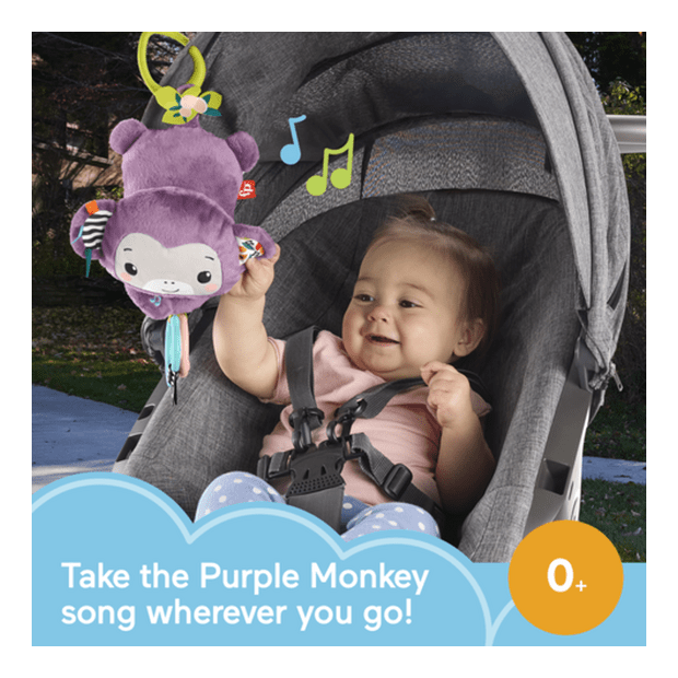 * Fisher Price Sing & Go Purple Monkey 194735260041