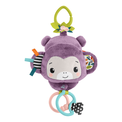 * Fisher Price Sing & Go Purple Monkey 194735260041
