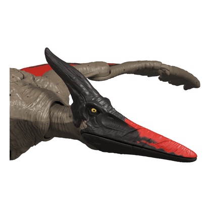 * Jurassic World Wild Roar Pteranodon 194735273072