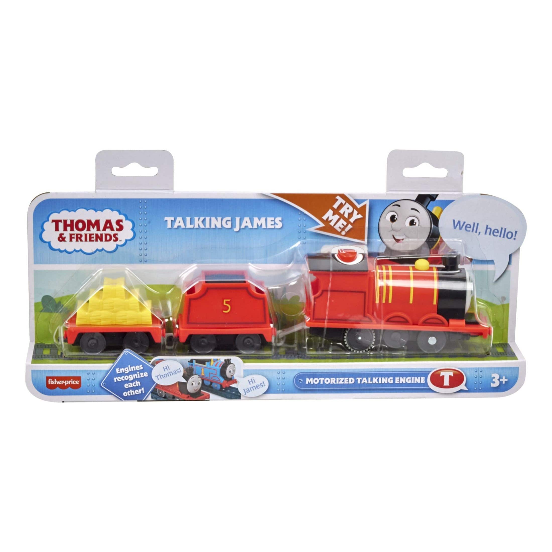 Thomas & Friends Motorised Talking James 194735223824