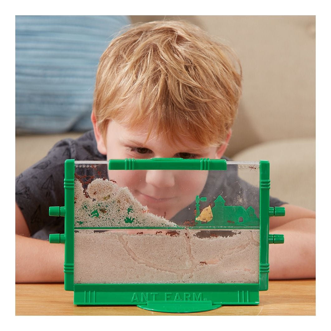 Uncle Milton Original Ant Farm 042499000154