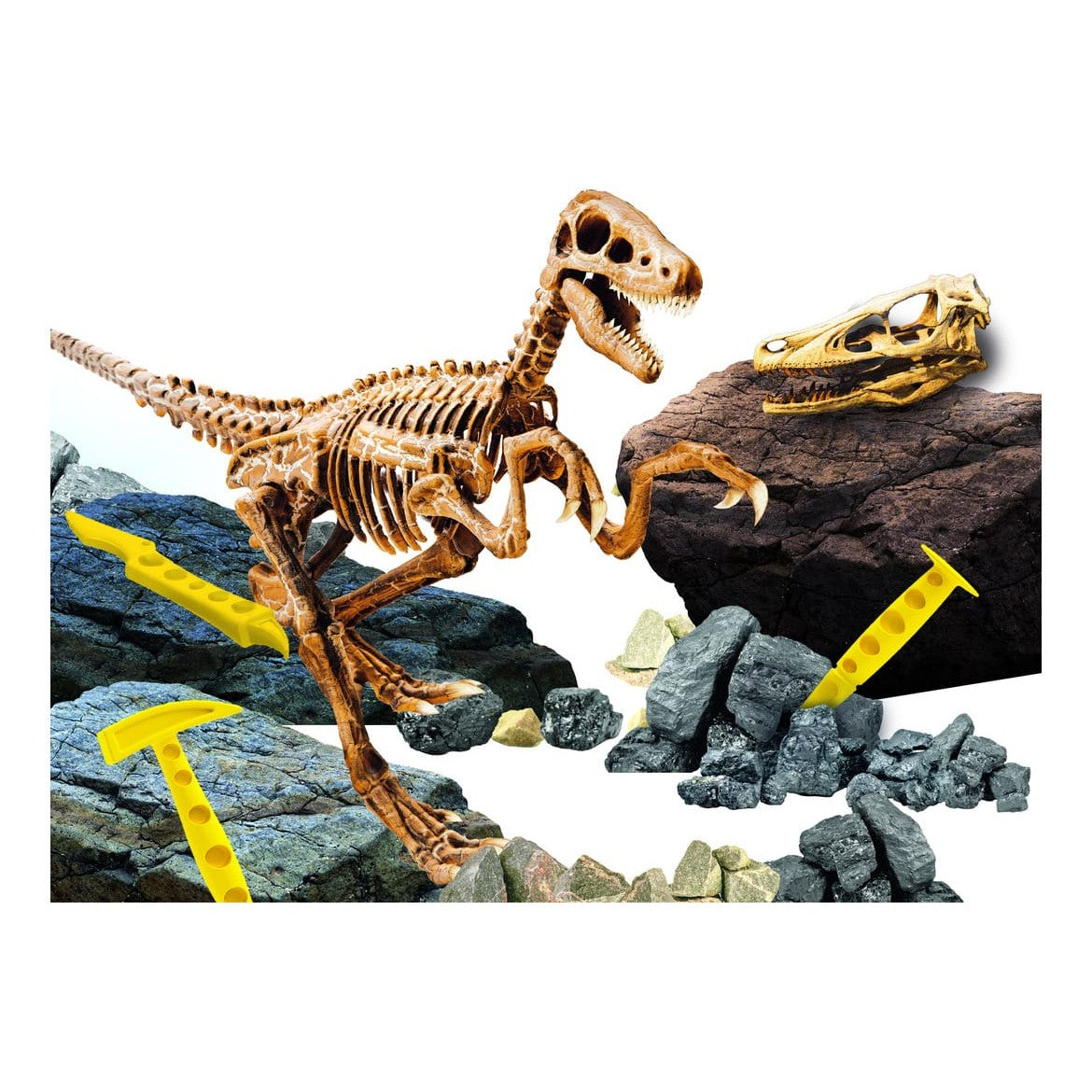 Lisciani I Am A Genius Velociraptor Super Kit - Excavation Kit With Tools Skeleton Assembly And Illustrated Poster