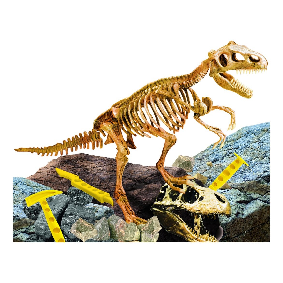 Lisciani I'm A Genius T-Rex Super Kit - Excavation Block, Buildable Skeleton, Tools, and Illustrated Poster