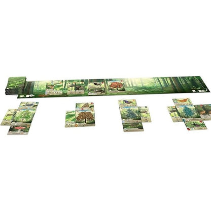 Forest Shuffle 4260402316758