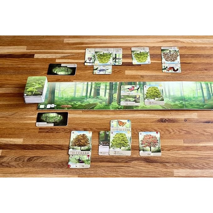 Forest Shuffle 4260402316758