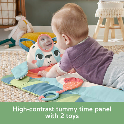 Fisher Price Sustain Roly Poly Panda Play Mat 194735101542