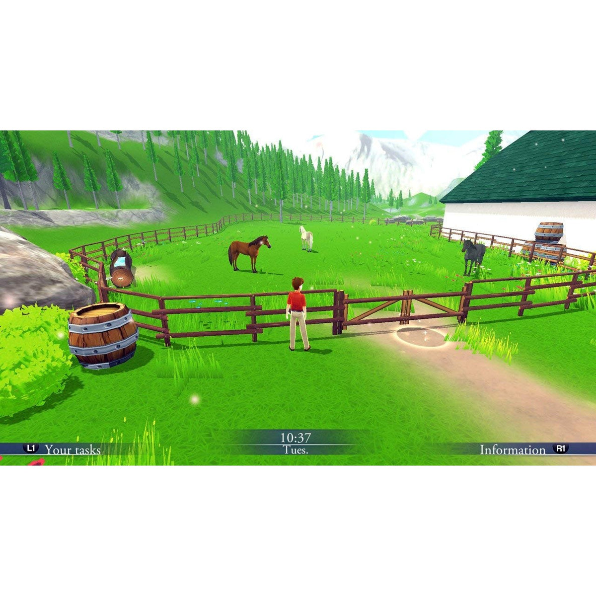 My Riding Stables: Life with Horses for PlayStation 4 (Disc)