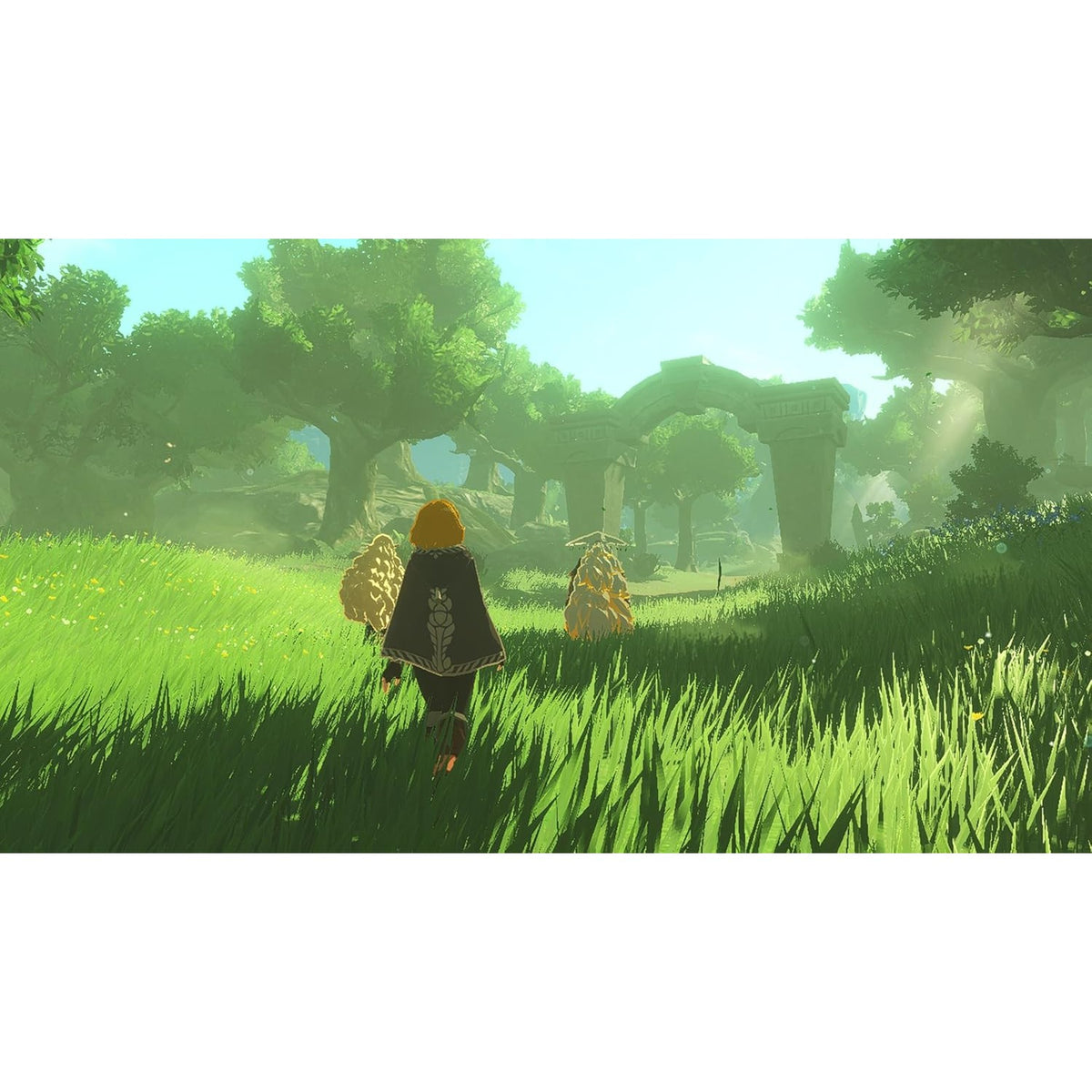 Hyrule Warriors: Age of Imprisonment - Nintendo Switch 2 0045496313500