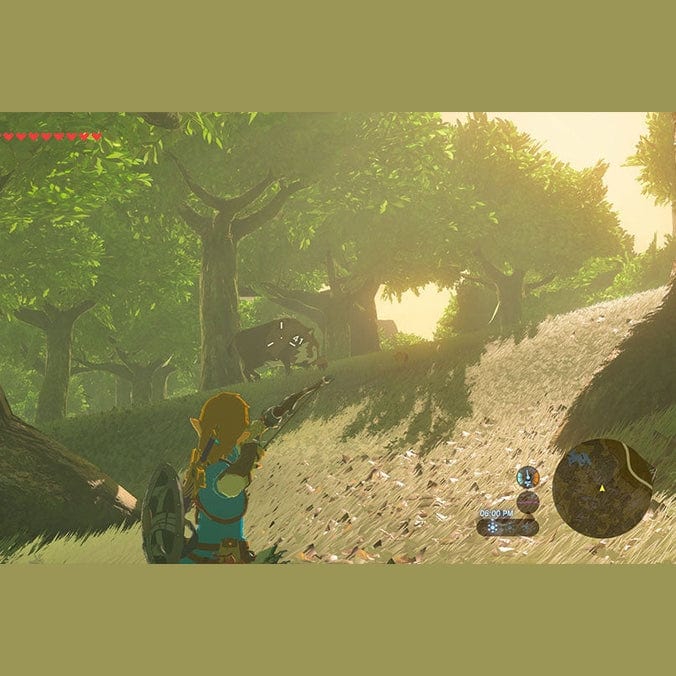 The Legend of Zelda Breath of the Wild - Nintendo Switch 2 Edition 0045496312664