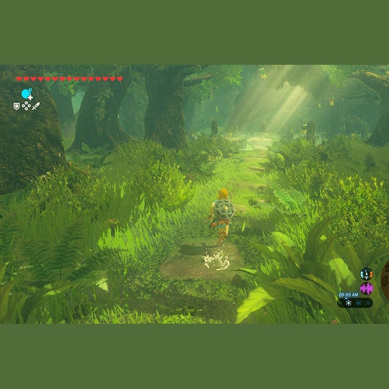 The Legend of Zelda Breath of the Wild - Nintendo Switch 2 Edition 0045496312664