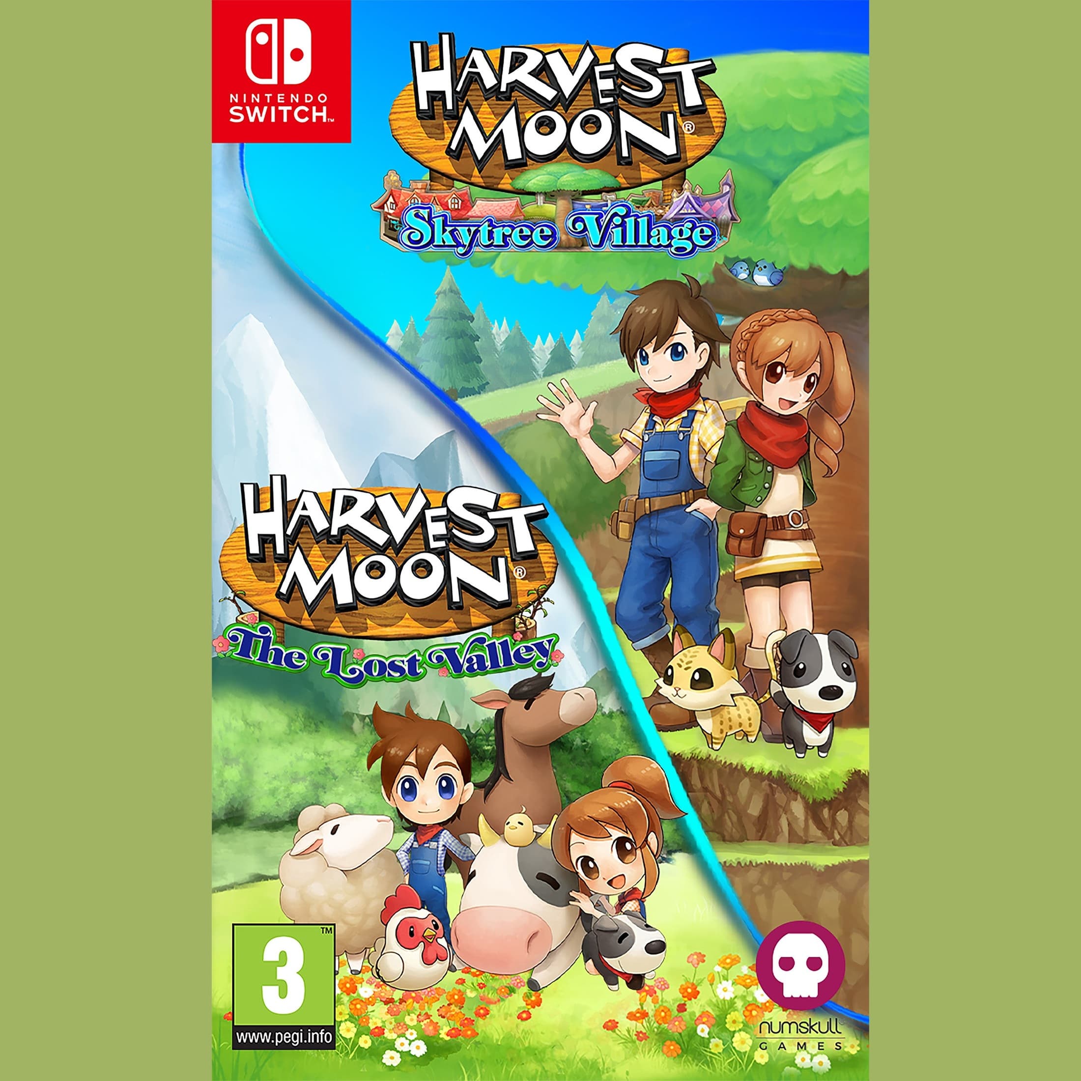 Harvest Moon The Lost Valley - Nintendo Switch (Game Cartridge) 5060997483496
