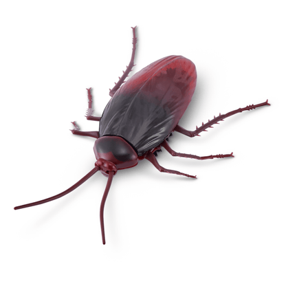 Robo Alive - Crawling Cockroach Glow in the Dark 193052033413