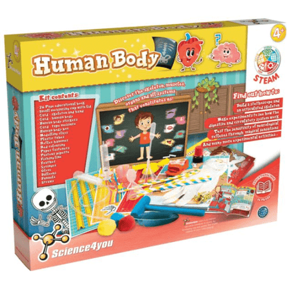 Human Body 5600983620643