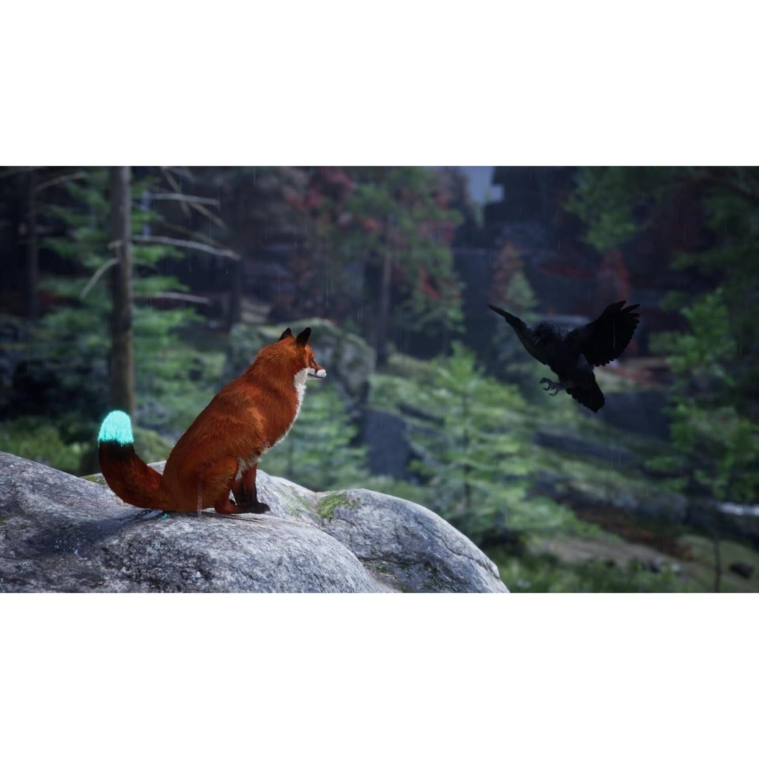 Spirit Of The North 2 – PlayStation 5 – (Disc) 5061078710258