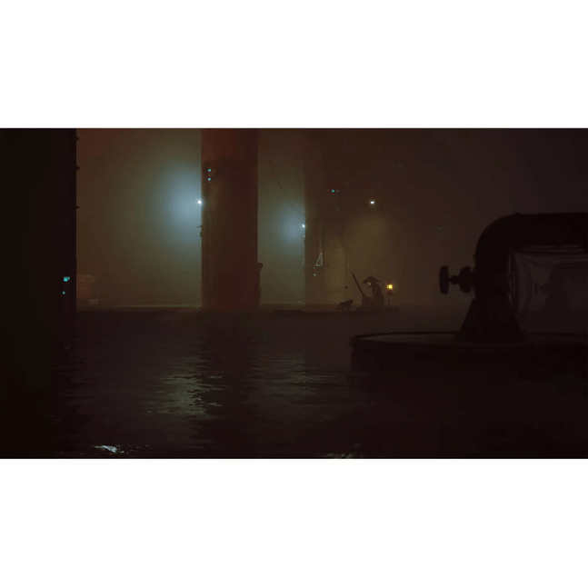 Stray - Playstation 5 0811949035196