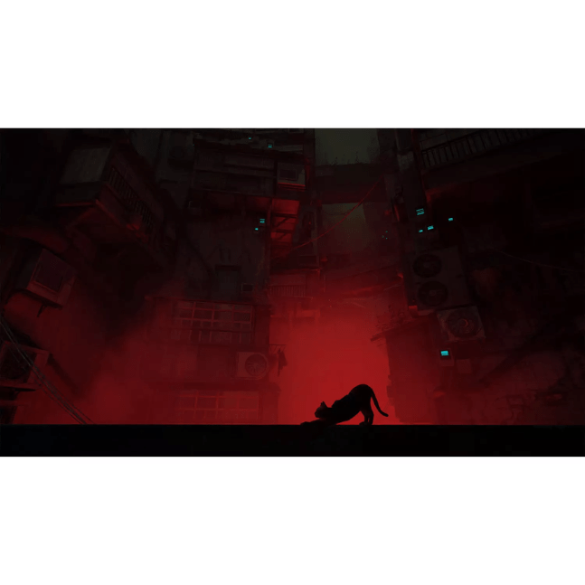 Stray - Xbox Series X and Xbox One 0811949036971