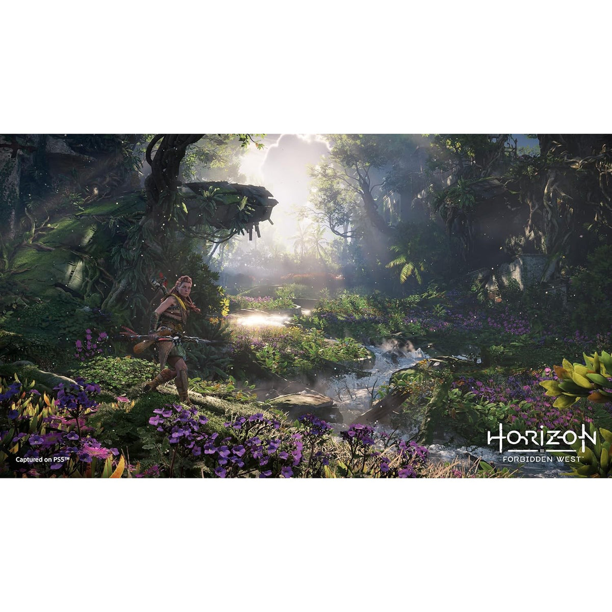 Horizon Forbidden West - Playstation 5 0711719720690