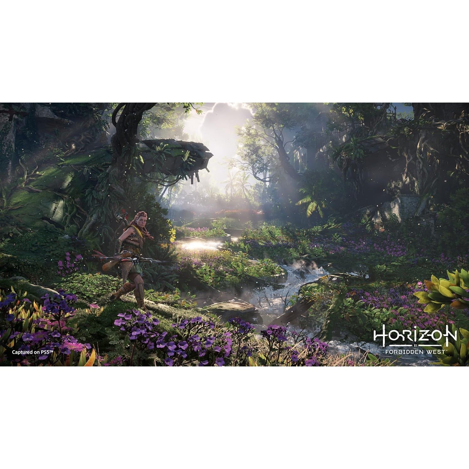 Horizon Forbidden West - Playstation 5 0711719720690