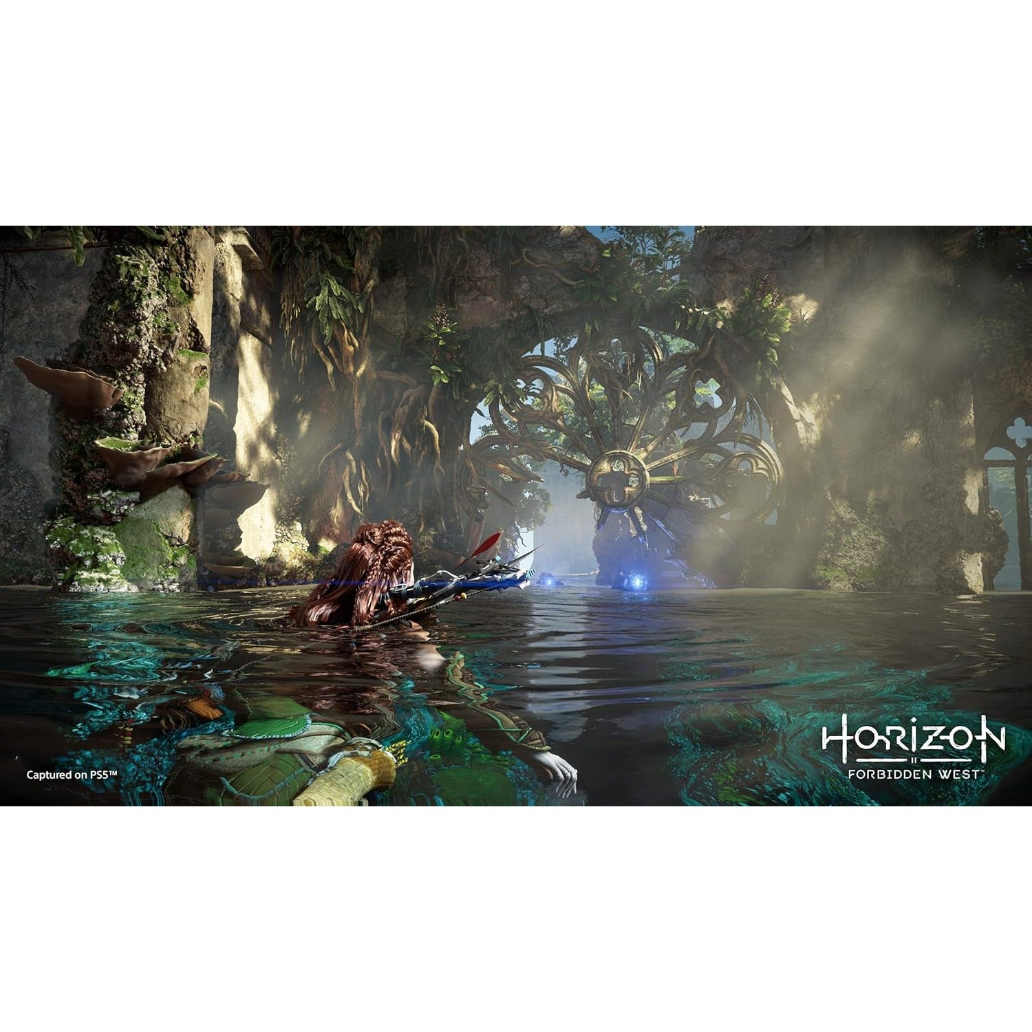 Horizon Forbidden West - Playstation 5 0711719720690
