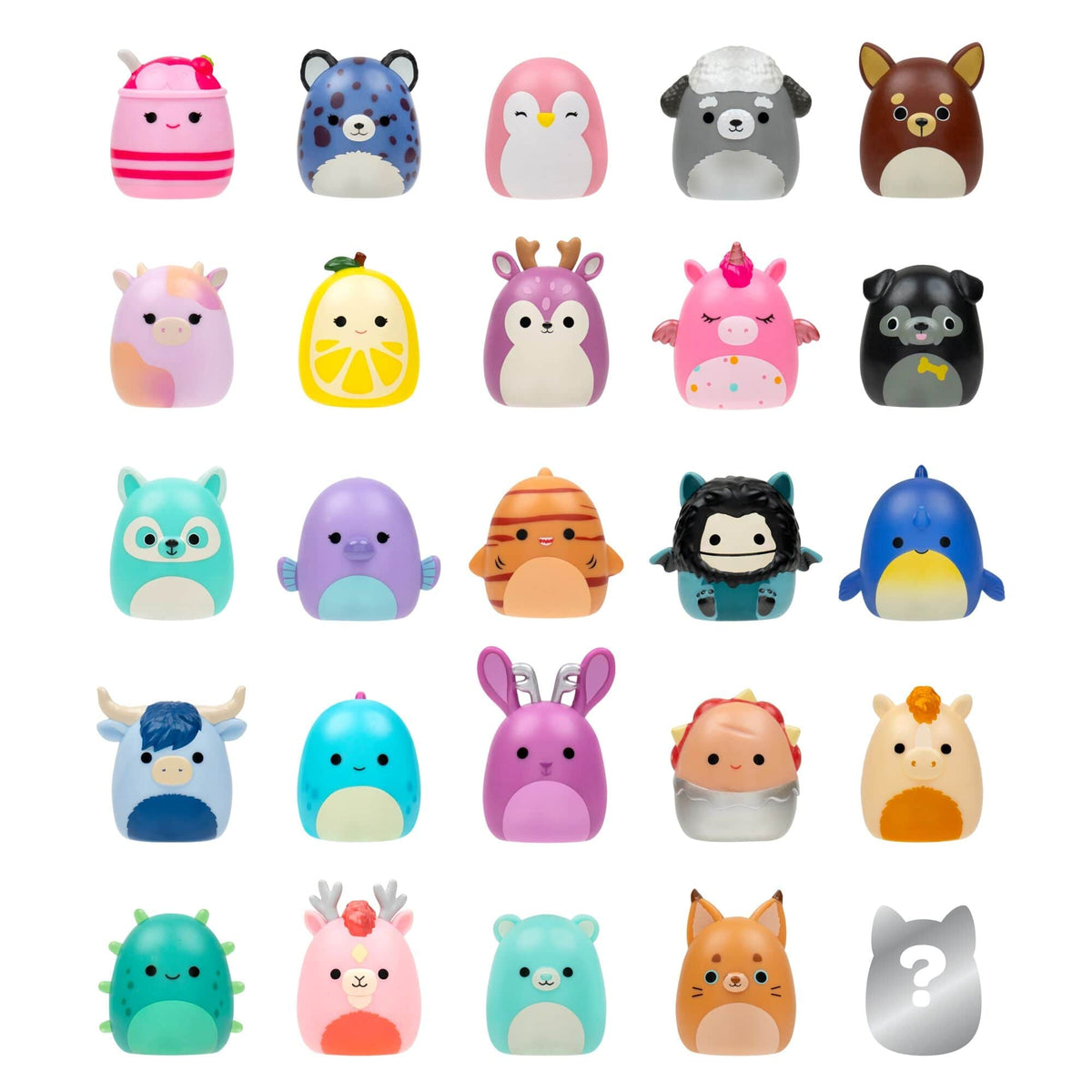 Squish-a-longs - 25 Pack (Style 1) Wave 5