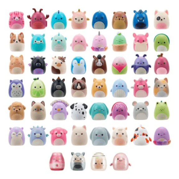 Squish-a-longs by Squishmallows - Mystery (1 Pack Chosen at Random) 191726764373