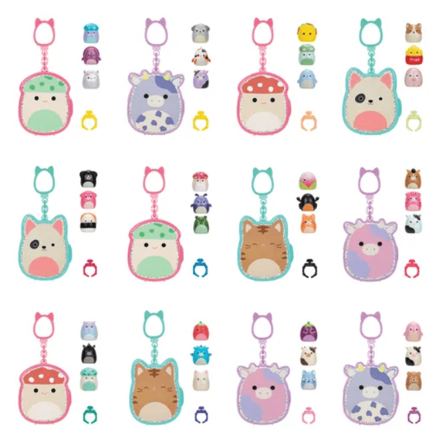 Squish-a-longs Clip-A-Longs by Squishmallows -Series 1 Mystery (1 Pack Chosen at Random) 191726828631