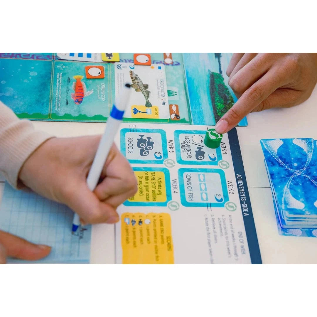 Finspan - Board Game 850032180931
