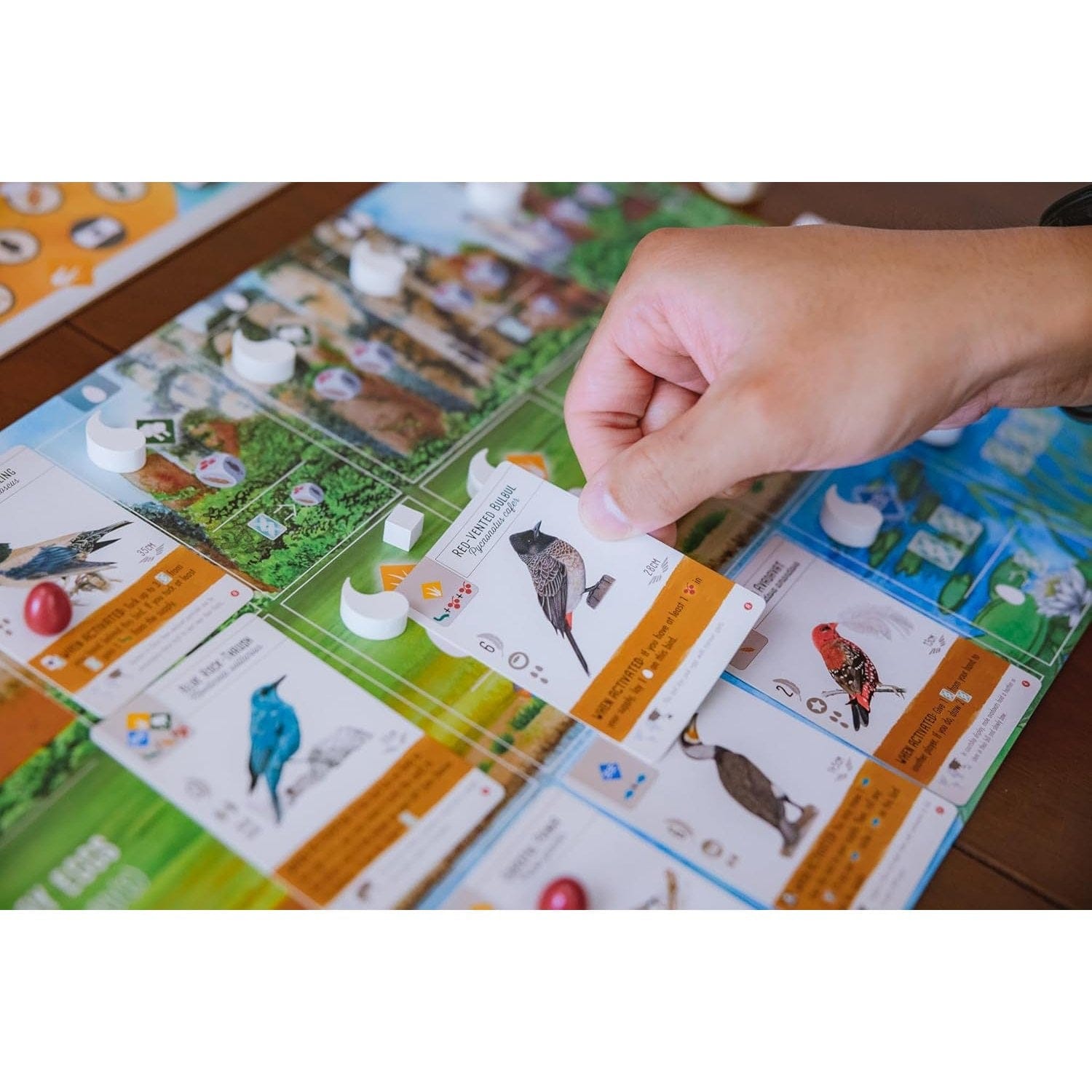 Wingspan: Asia (Standalone Expansion) 850032180078