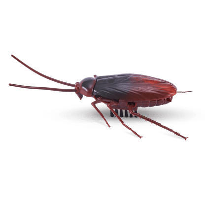 Robo Alive Crawling Cockroach Series 2 193052033413