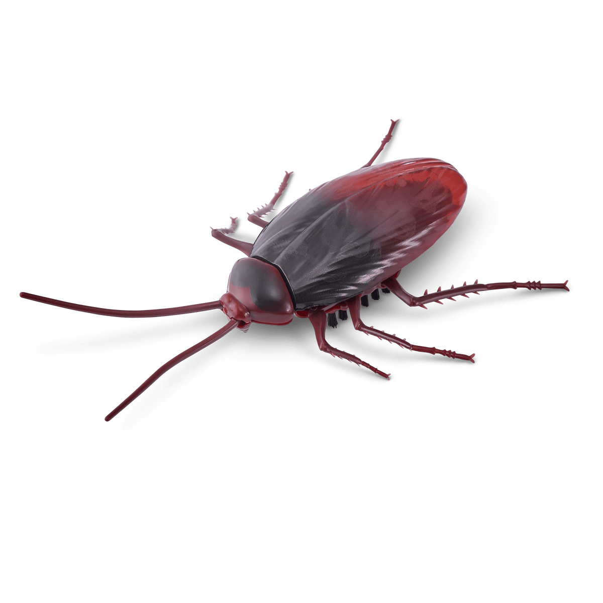 Robo Alive Crawling Cockroach Series 2 193052033413