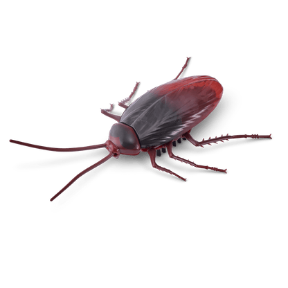 Robo Alive Crawling Cockroach Series 2 193052033413