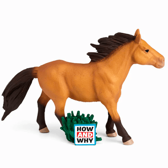 Tonies Audio: How and Why- Horses / The Mongol Steppe Riders - Lennies Toys